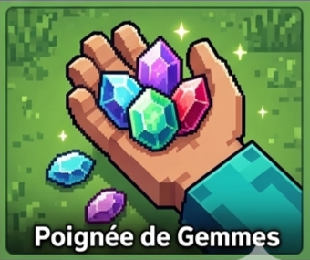 Poignée
